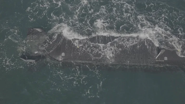 The Excalibur XLUUV has been tested