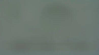 سوختگی LG 27GR95QE-B که صفحه خاکستری ساده را پس از دو سال نمایش می‌دهد