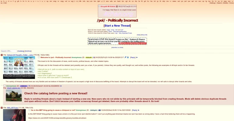 Screenshot of 4chan's politically incorrect board