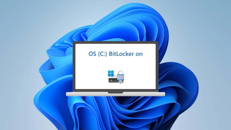 BitLocker reportedly auto-locks users' backup drives, causing loss of 3TB of valuable data — Windows automatic disk encryption can permanently lock your drives | Tom's Hardware