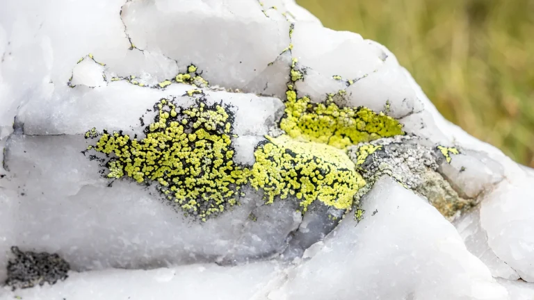 The world is overly reliant on one US-located mine for critical chipmaking material, but China is working to break the stranglehold — China investing over $14 million in synthetic quartz manufacturing to diversify away from US dependency | Tom's Hardware