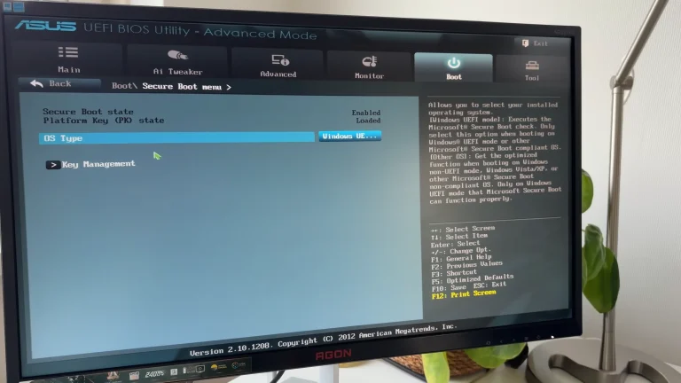 SecureBoot on an Asus 990FX motherboard, running the FX-9590